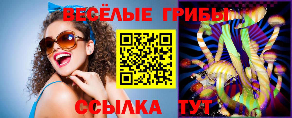 Галлюциногенные грибы Cubensis Тавда