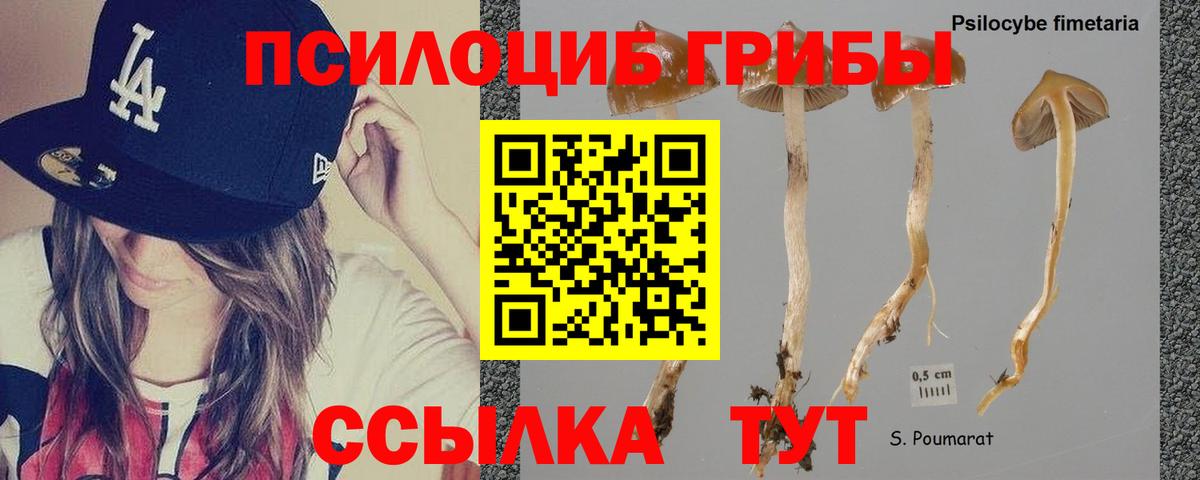 Галлюциногенные грибы MAGIC MUSHROOMS  Вход с VPN  Тавда 